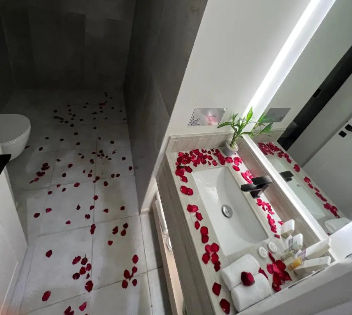 شاليهات قصيد الفندقية