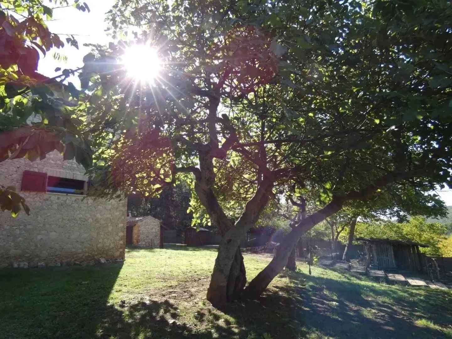 SCAPPO IN UMBRIA,Casale Vallenea