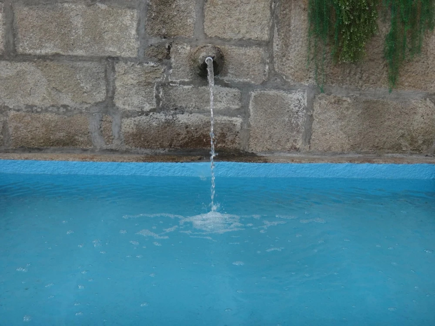 Casa do Abade - Solar de Goujoim