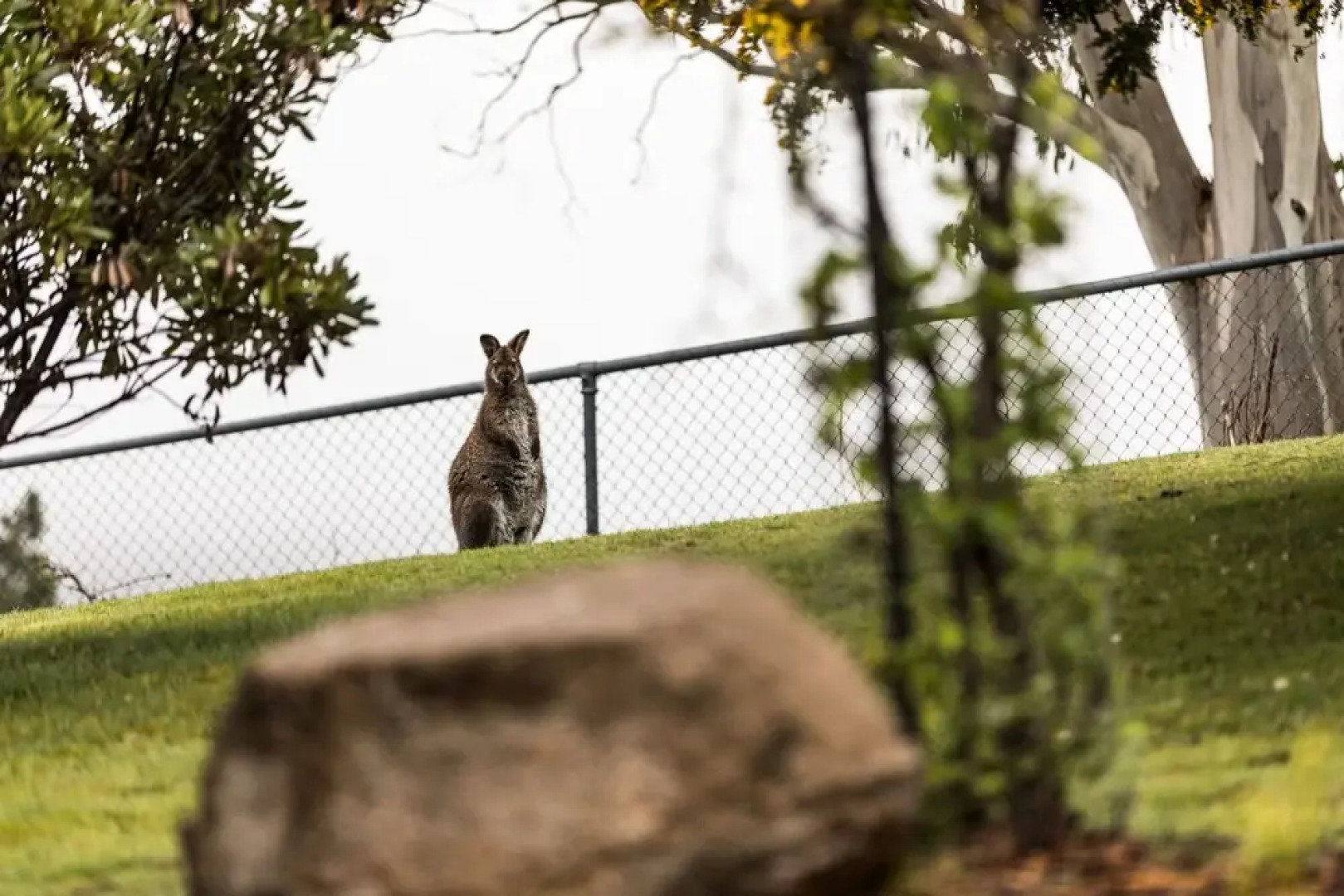 The Lodge at Tarraleah - Adults Only