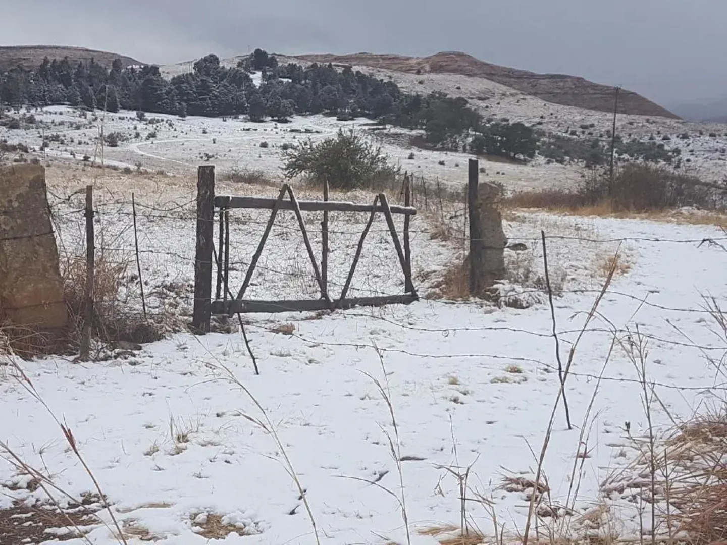 Periwinkle Grove Cottage