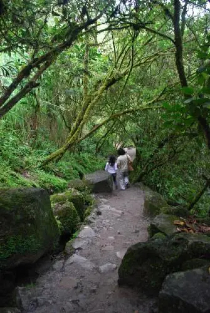 CABAñAS PAILON DEL DIABLO