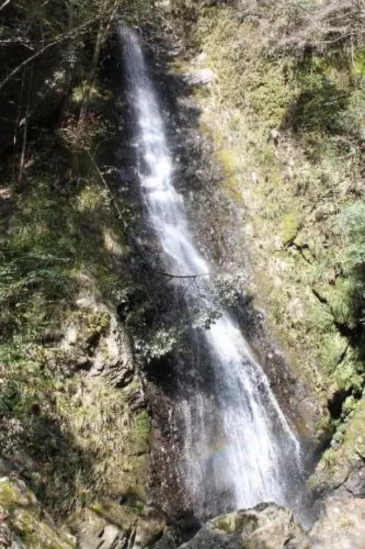 Yadori Onsen Iyashinoyu