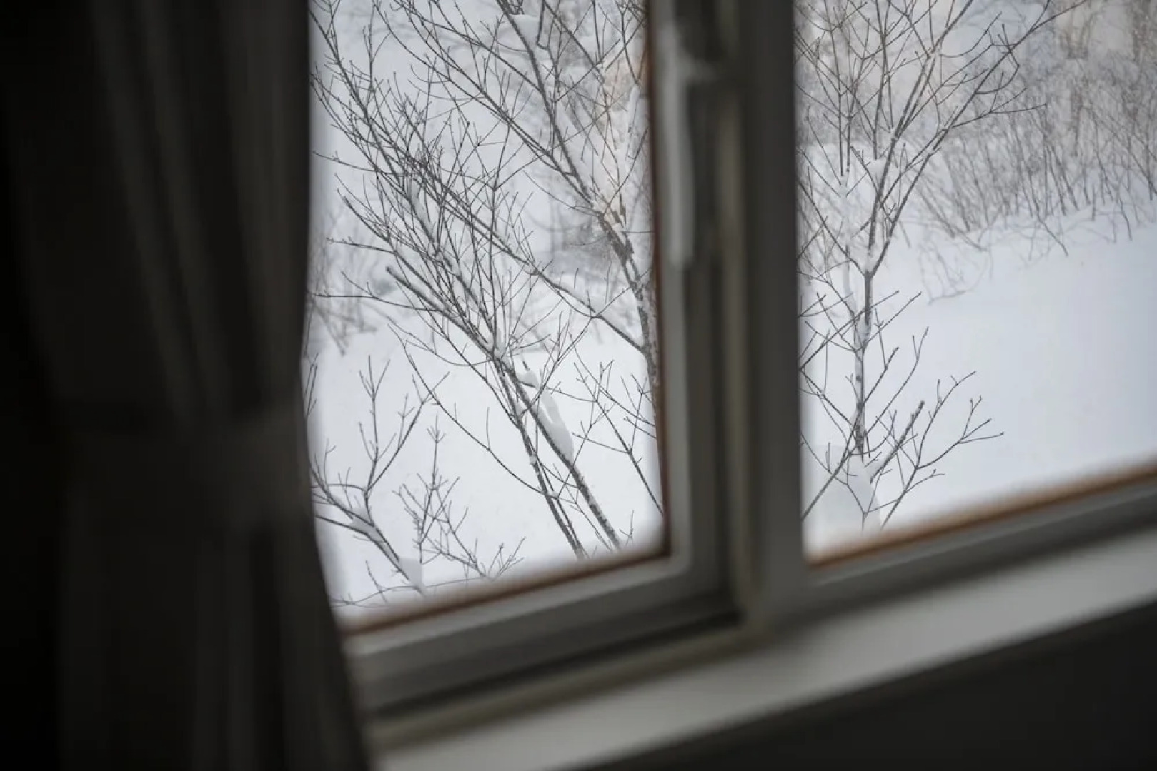 LOVES ONLY YOU【Ezo Fuji Foothills】