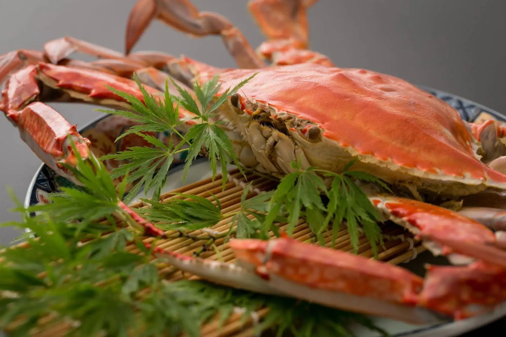 Tsuru no Oyado Tsurusou