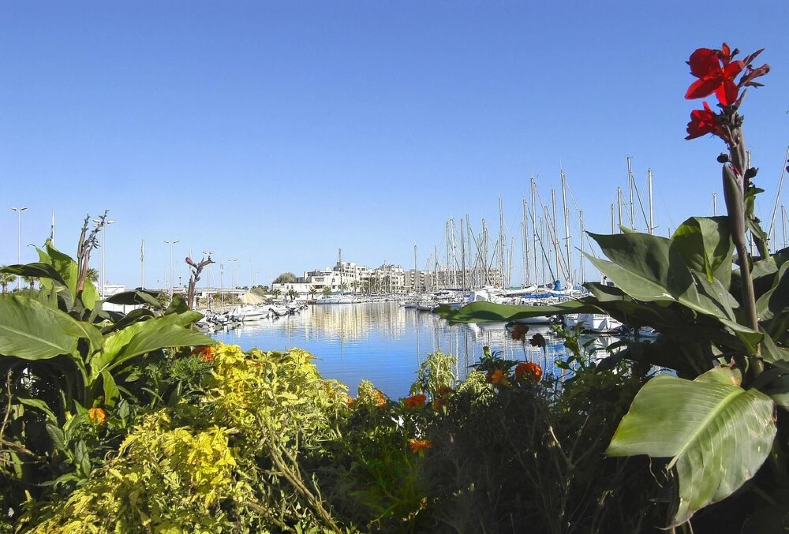 Apartment With 3 Bedrooms in Le Barcarès, With Private Pool and Wifi