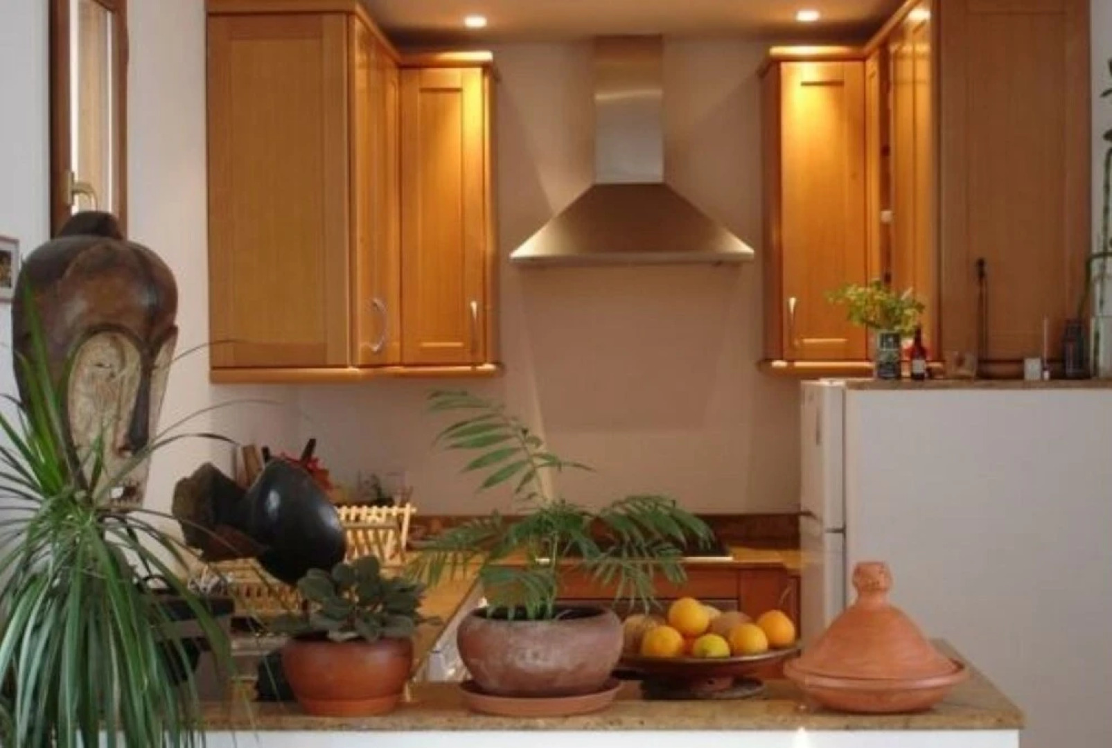 103983 -  House in Grazalema