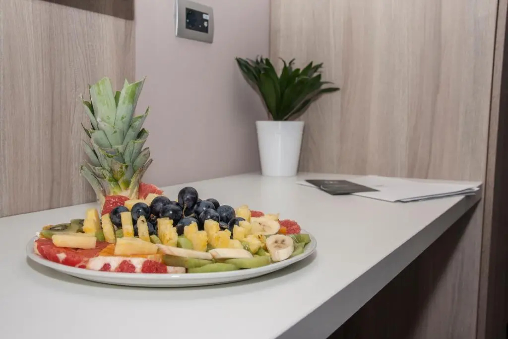 Hotel Berane