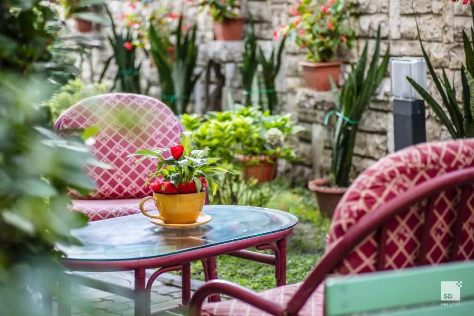 Hotel Alessandro Della Spina