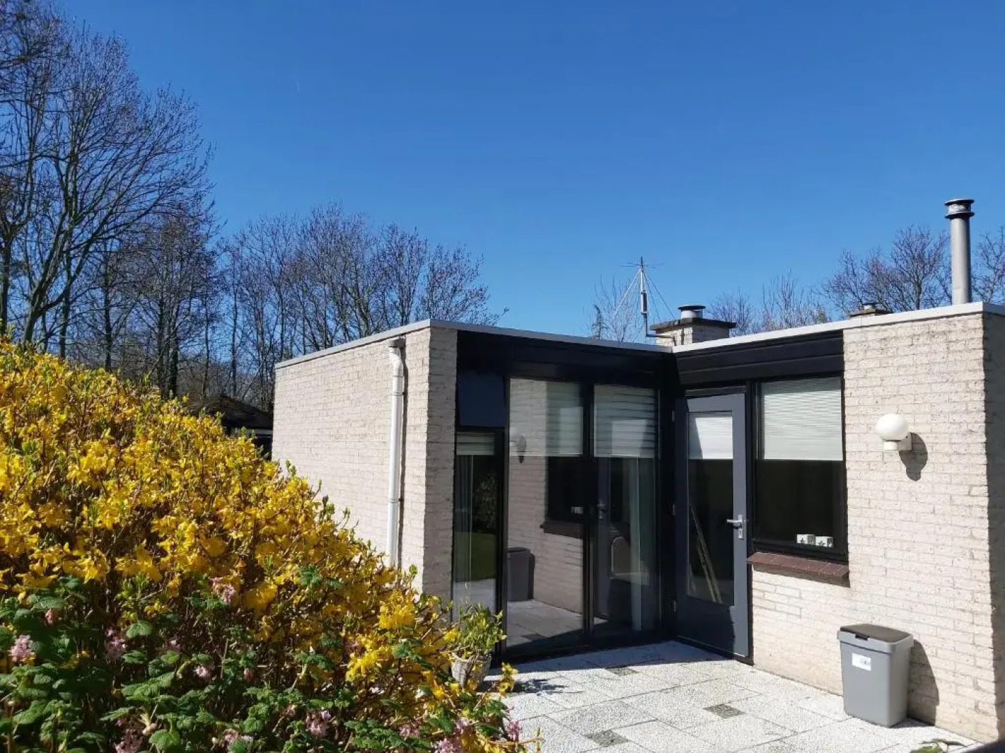 Klepperstee Esdoorn 3