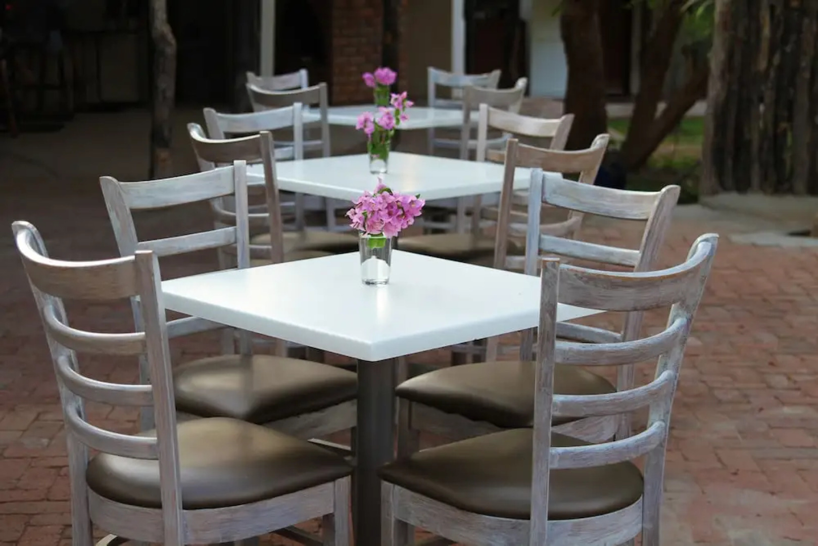 Wild Dogs Safari Lodge