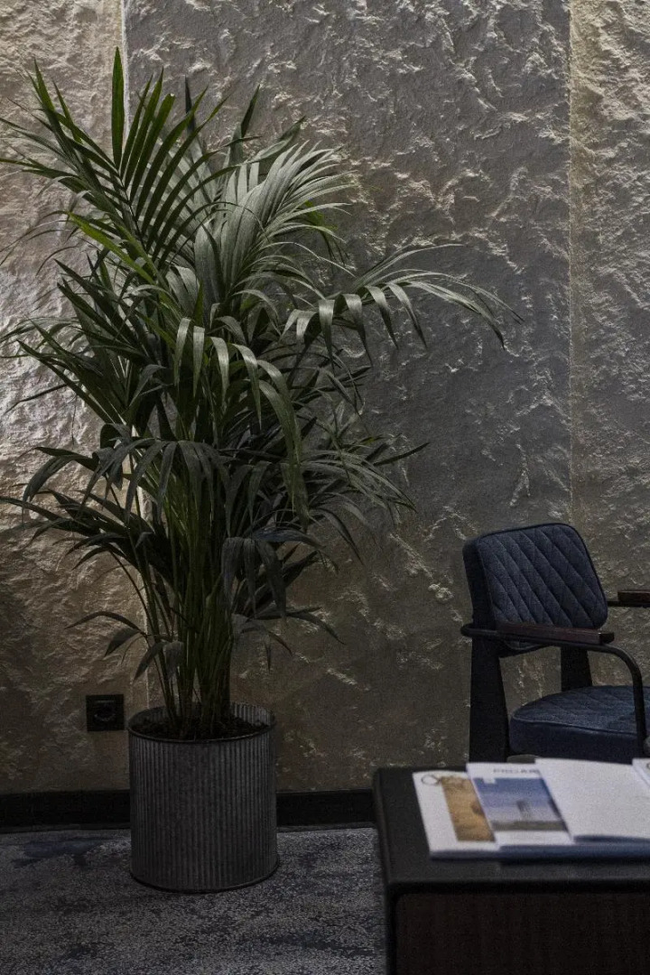 LETOH LETOH San Sebastián