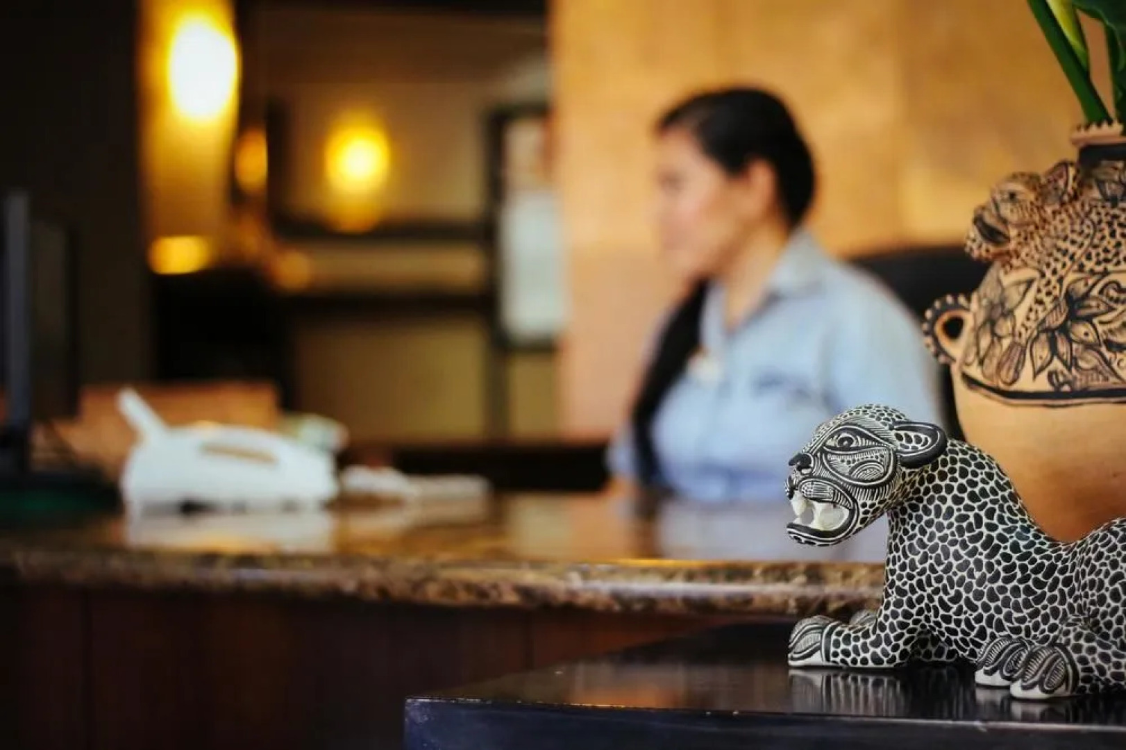 Palmareca Inn-Suites-Studio