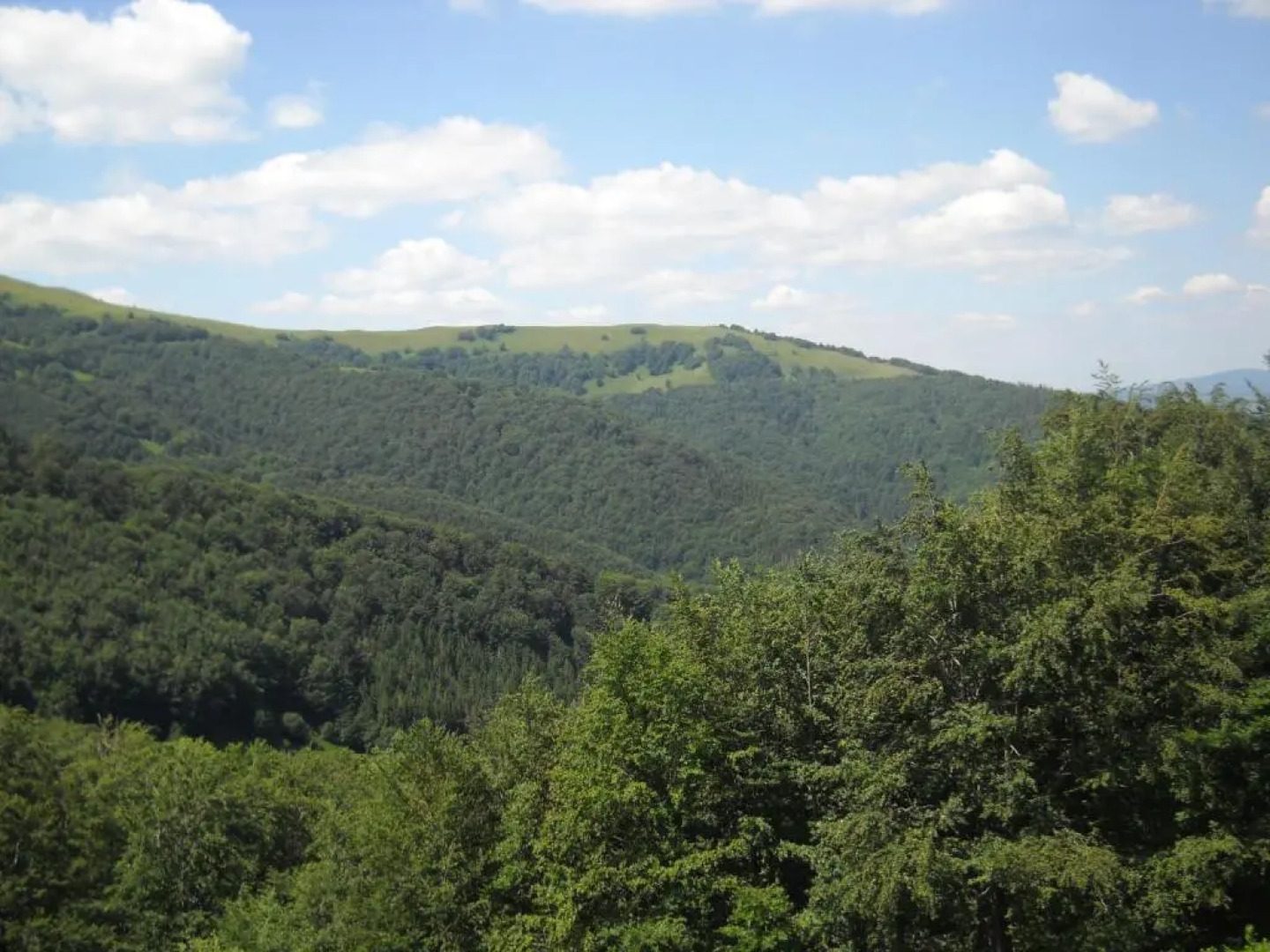 Гранд Отель Пилипец