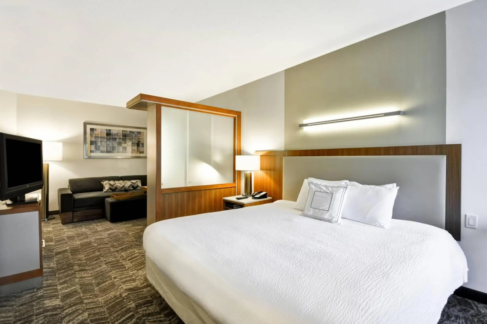 SpringHill Suites Tallahassee Central