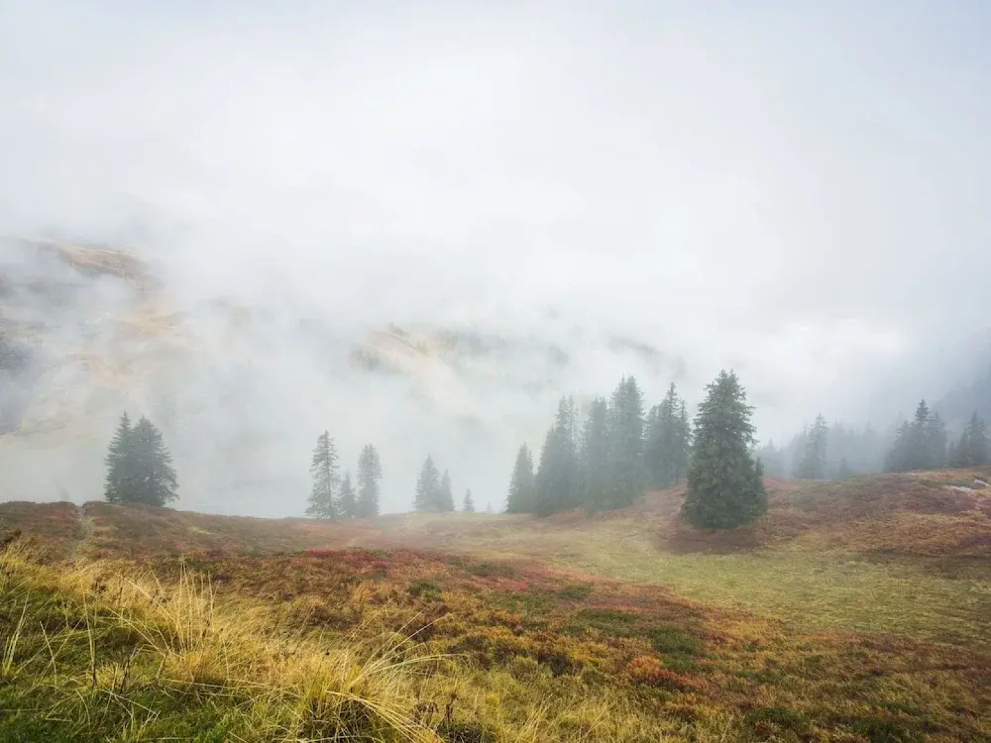 Chalet Montafon St Gallenkirch