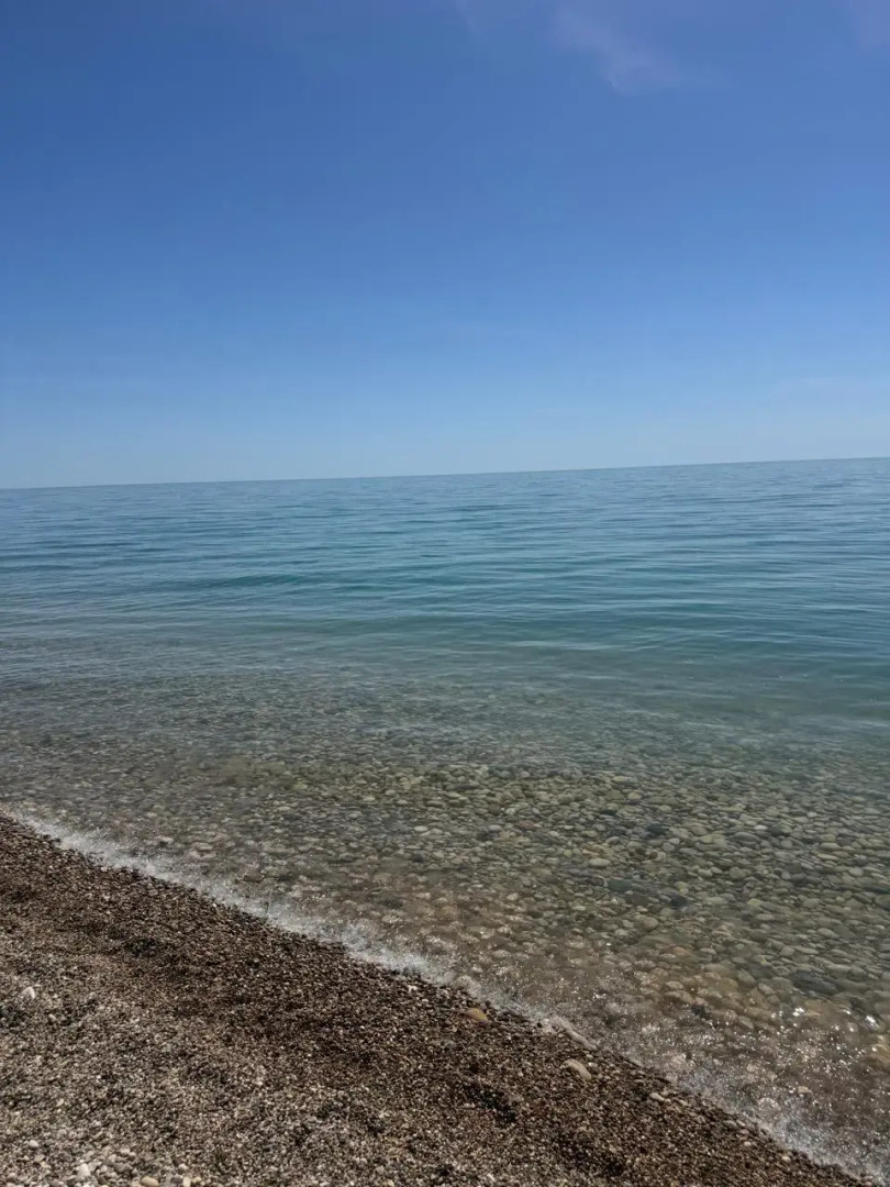 Гостевые коттеджи Leon (Леон)