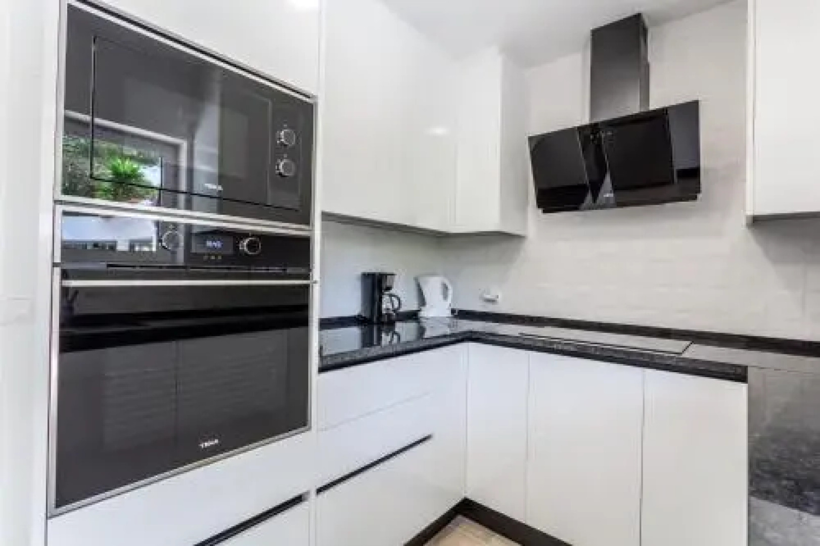 Ocean, Pines and Mountain