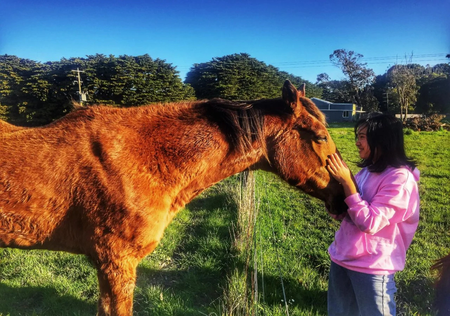 Twelve Apostles Motel & Country Retreat