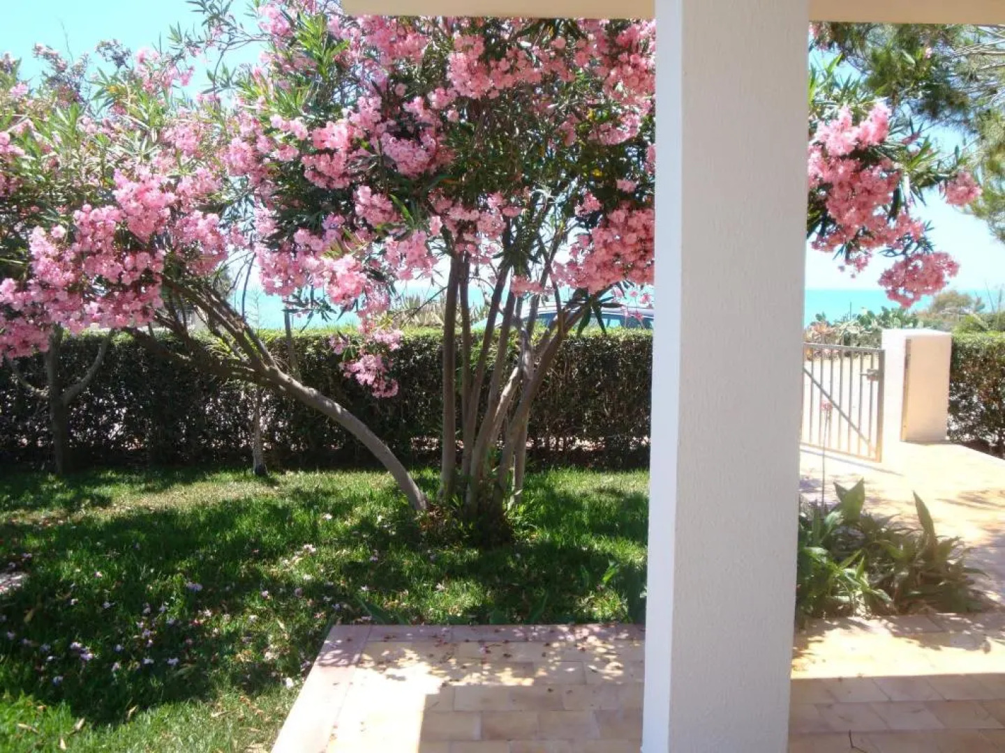 Cala Vigliena Il Sole Negli Occhi