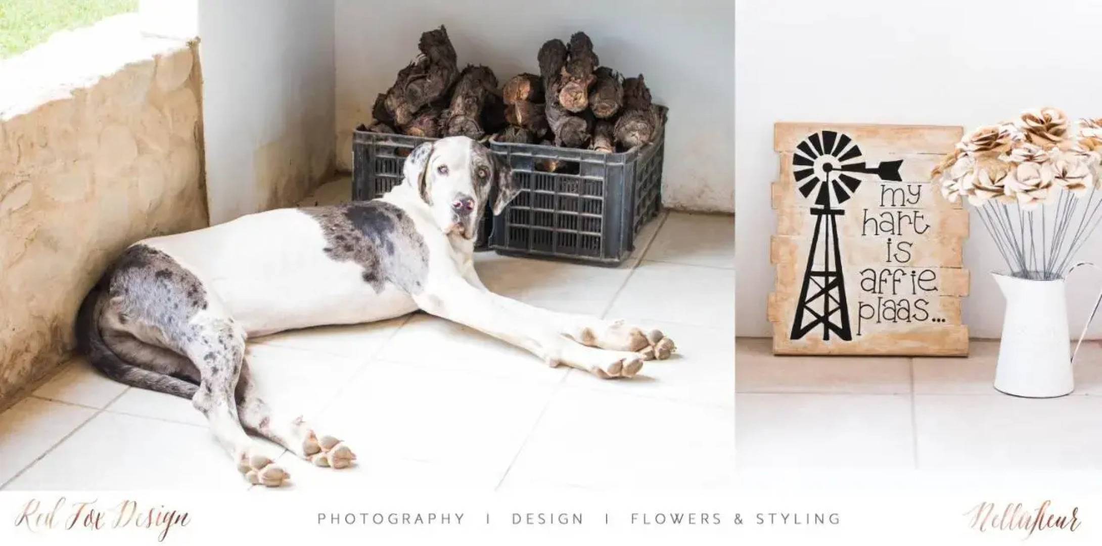 Sipreslaan Selfsorg Gastehuis