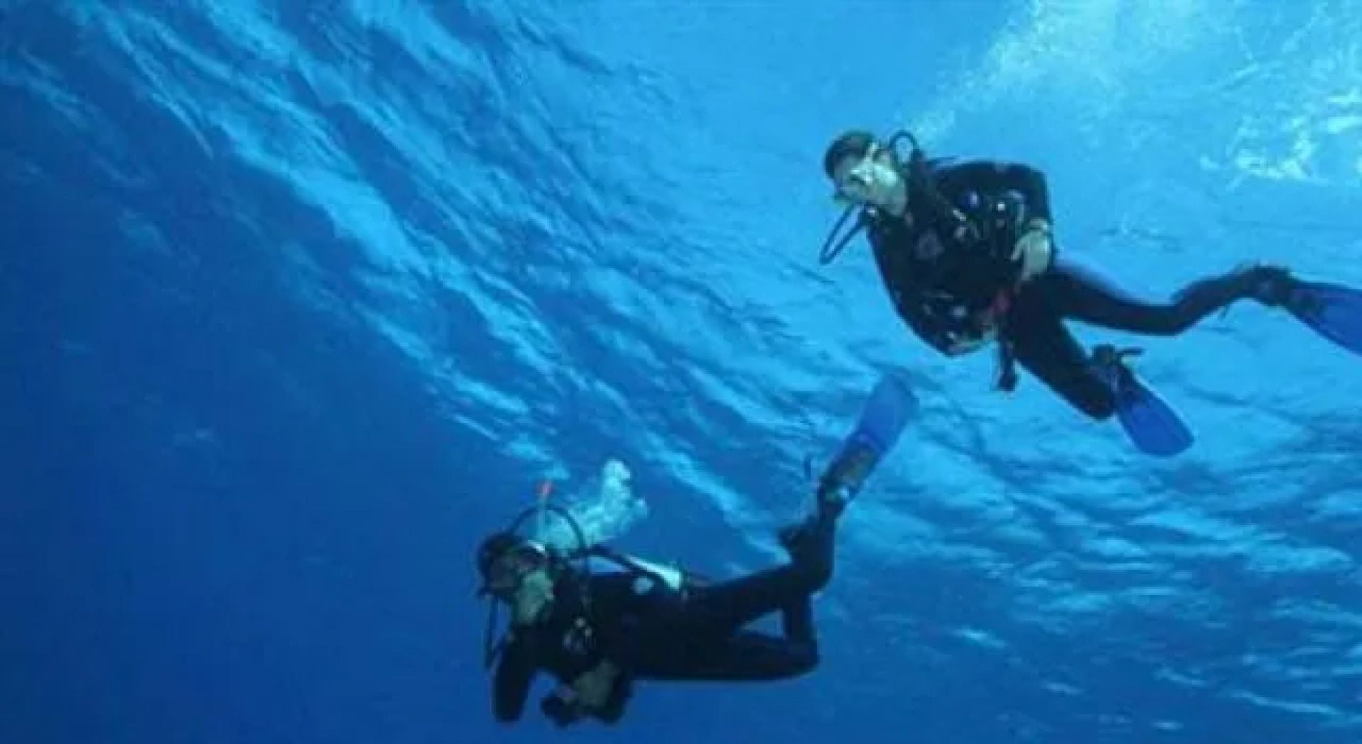 Waisalima Beach Resort & Dive Centre