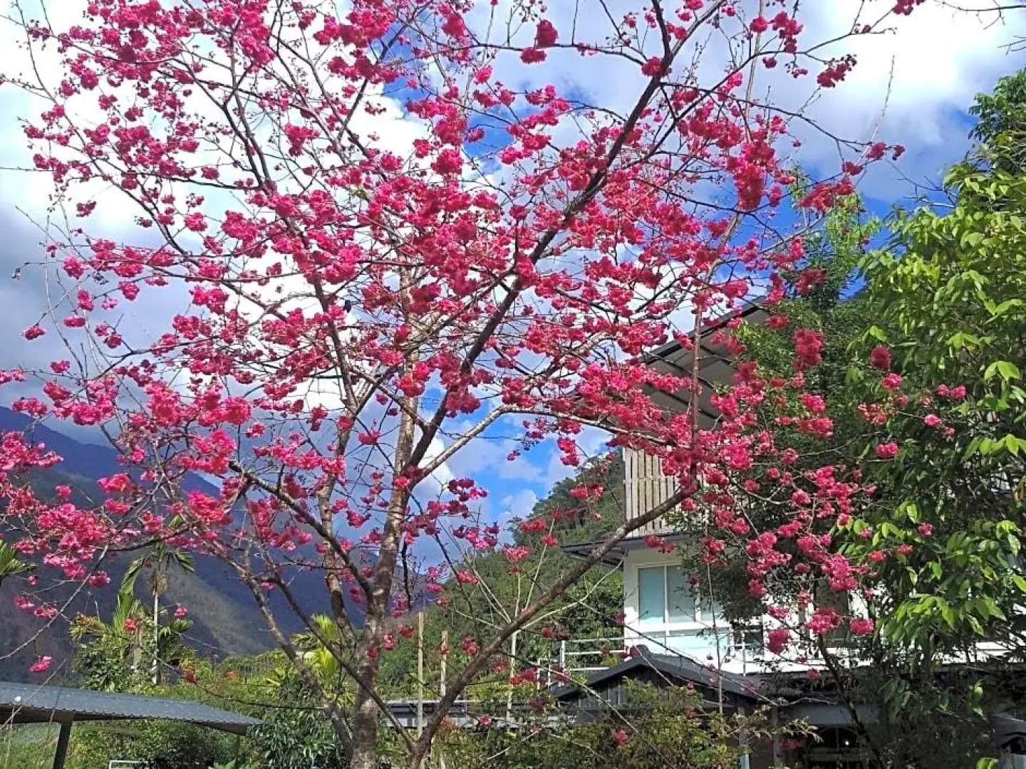 The Rippling Vale Masion of Hot Spring