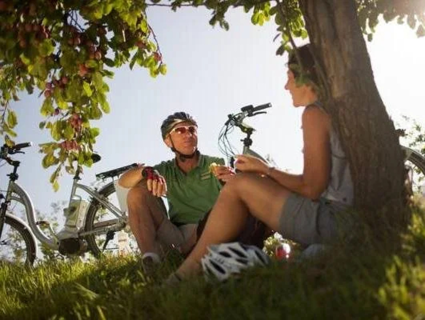 Hotel Appartement Winkler