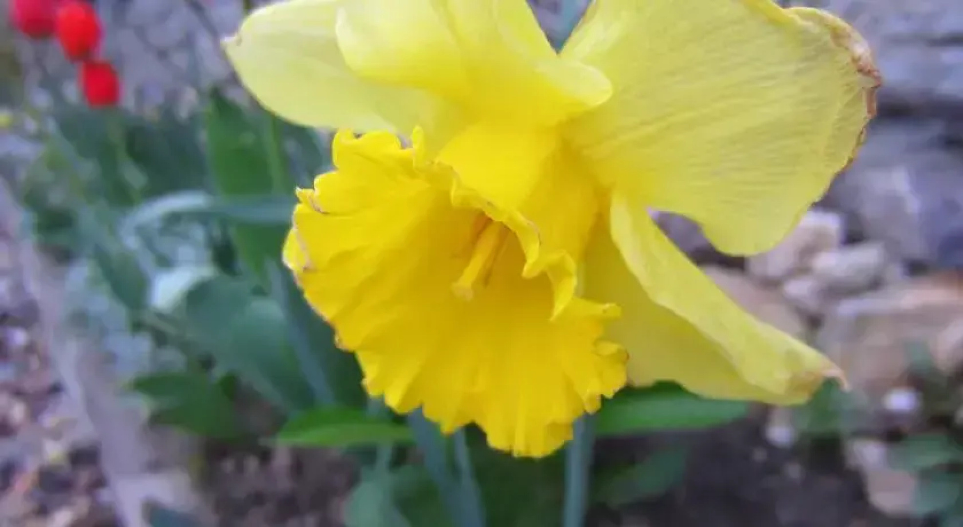 Pokoje Gościnne Bolków