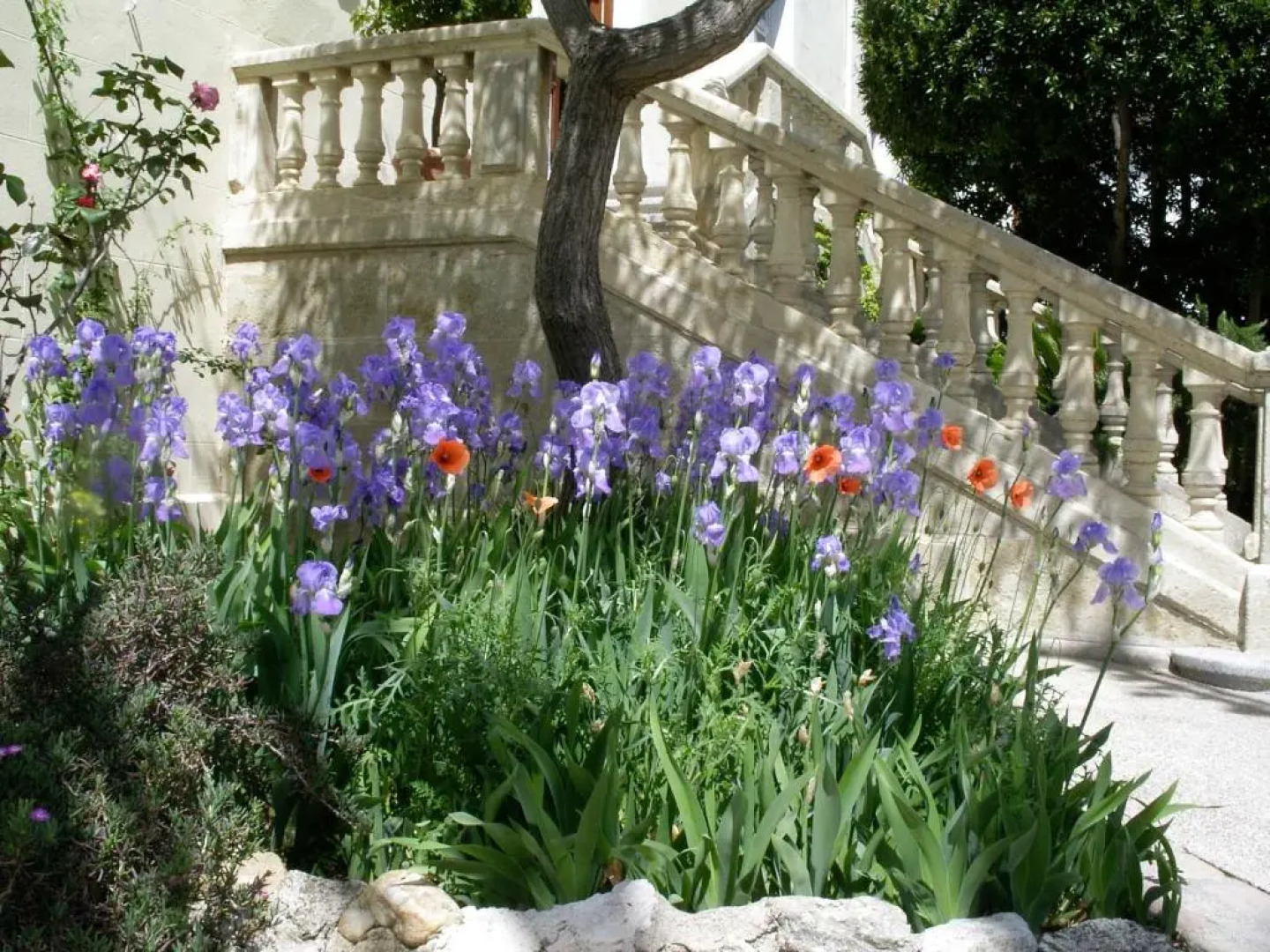 Paradix holiday apartment 2