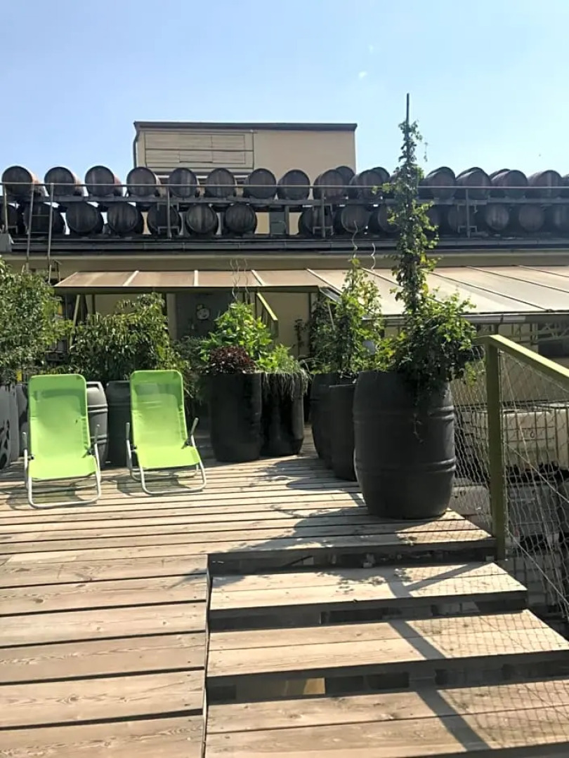 Wiener Gäste Zimmer