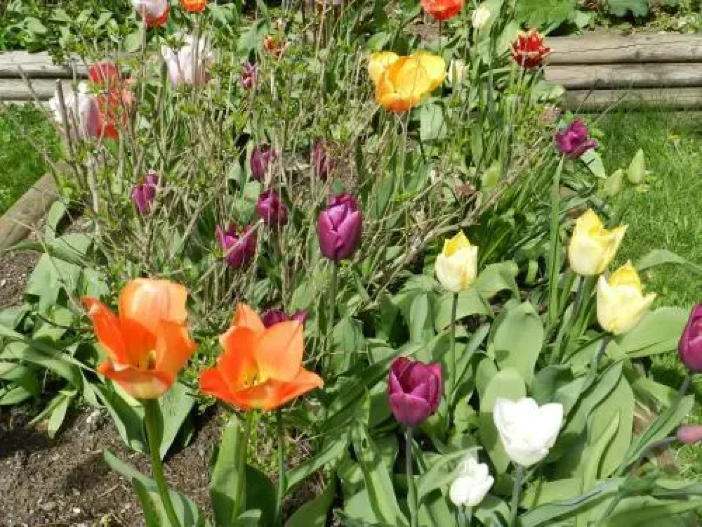 Serenity Bed and Breakfast