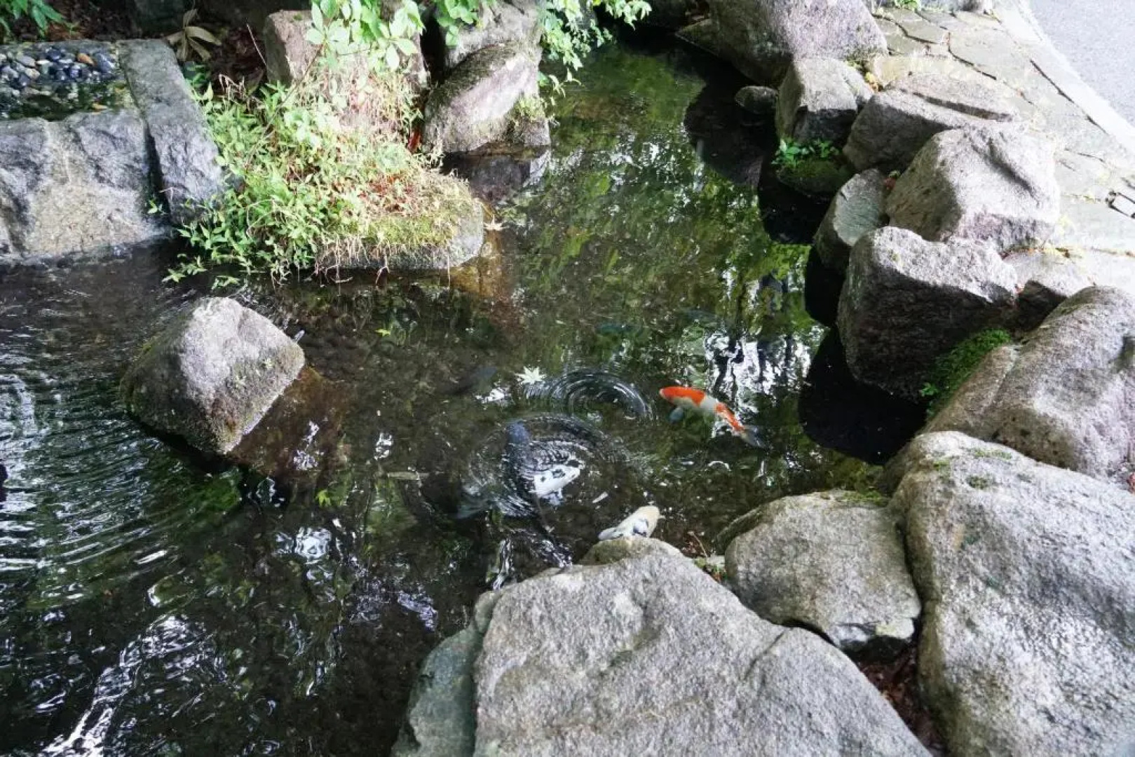 Hotel Blancvert Nasu