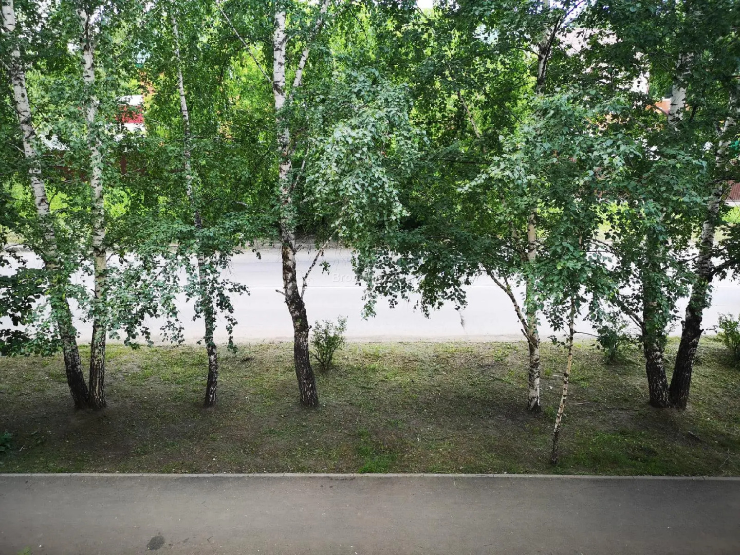 Калина на улице Мира 13