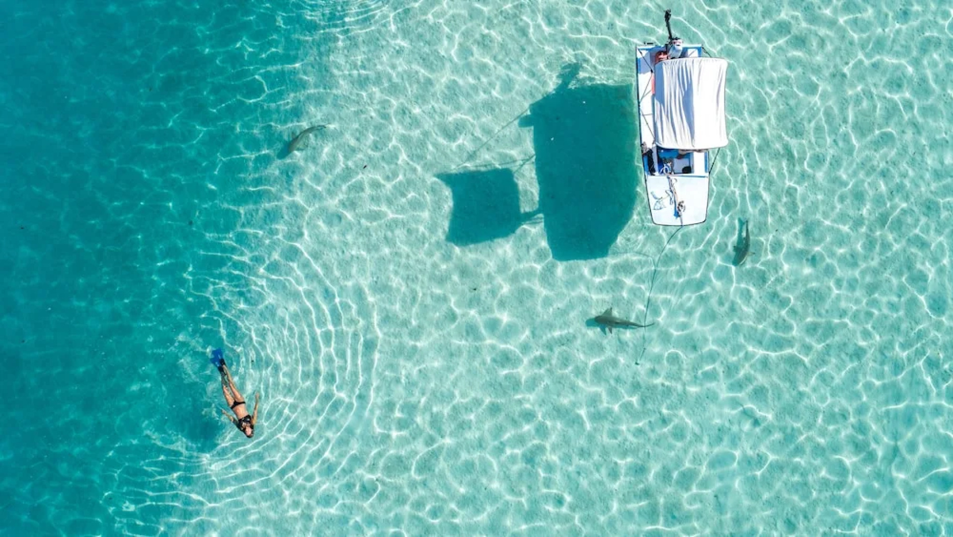 Robinsons Cove Villas