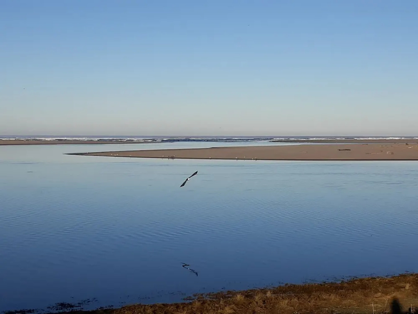 The Tradewinds Condo/Hotel