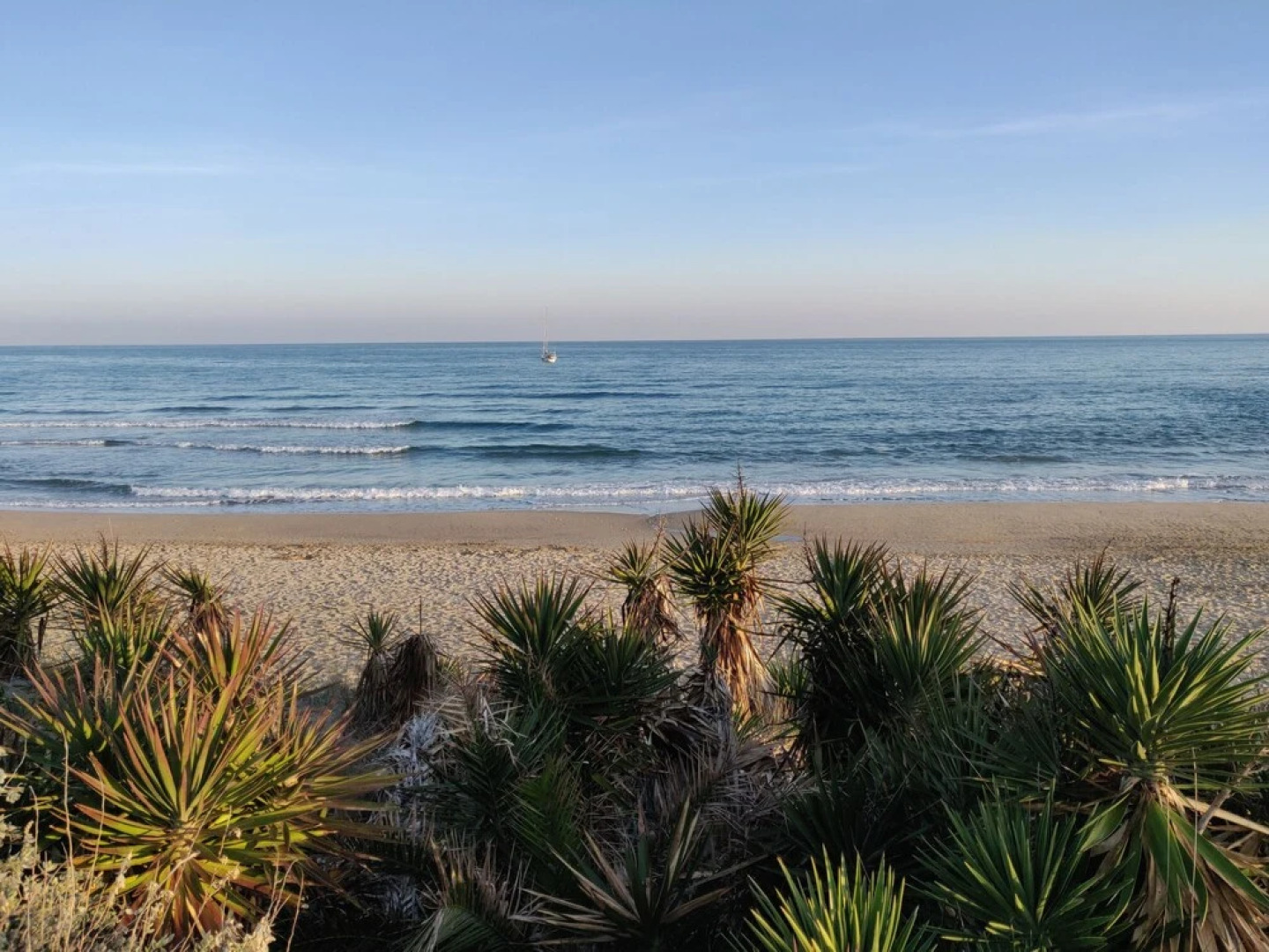 Studio Naturiste Design