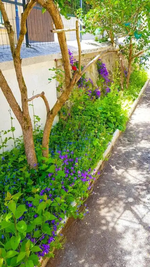 VILLA REIALA Chaville