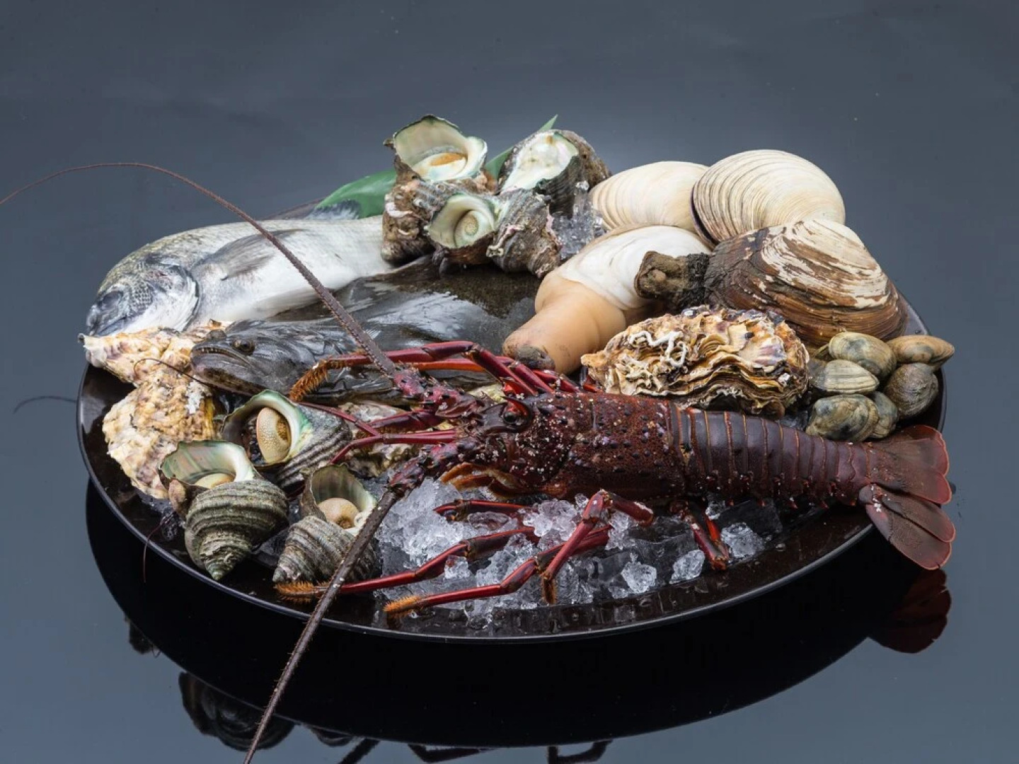 Oyo Ryokan Koijigahama Kuroshio Tahara Irago