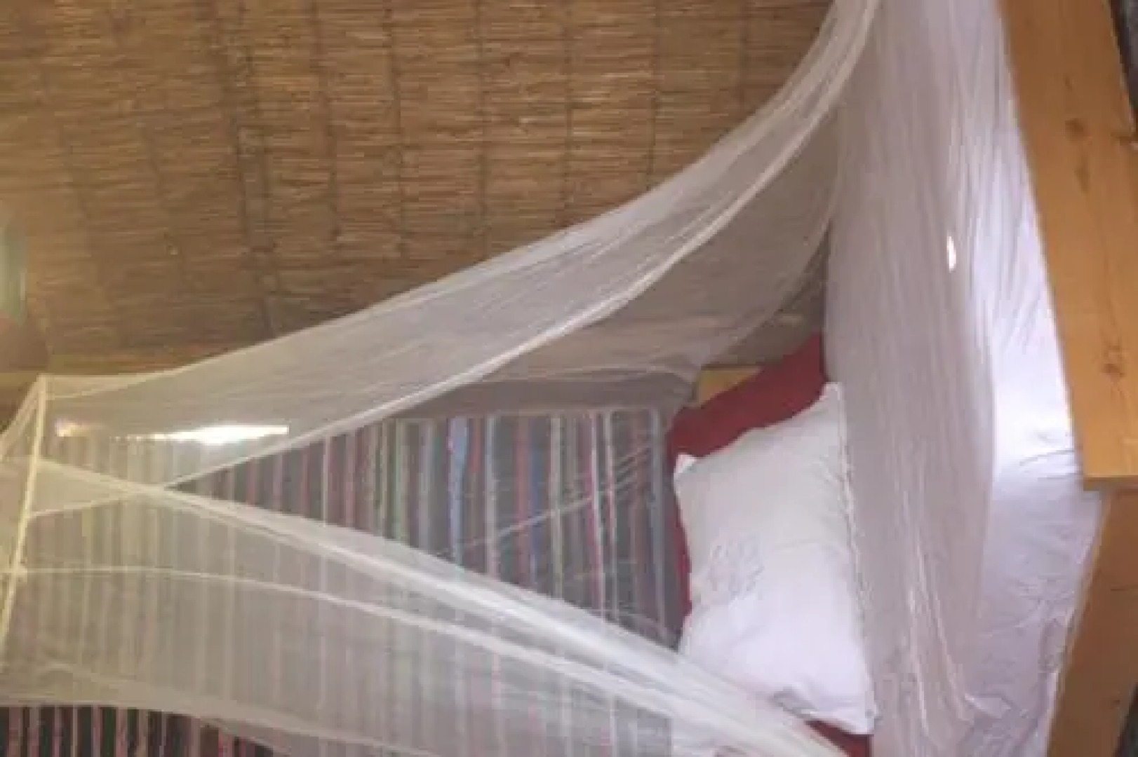 Back to Nature via the Bible