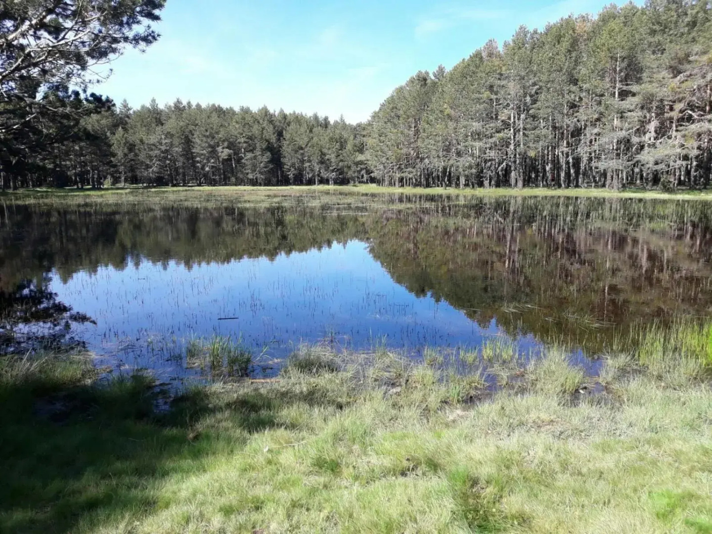 La Pérgola Internet Fibra Garage Calefacción TV