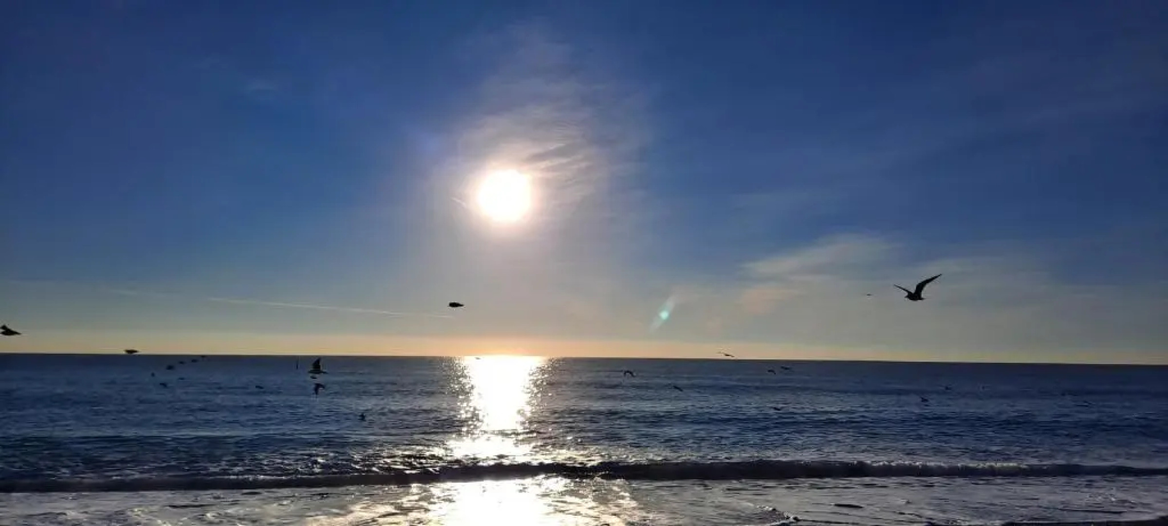 Holidays in Provence Alpes Maritimes