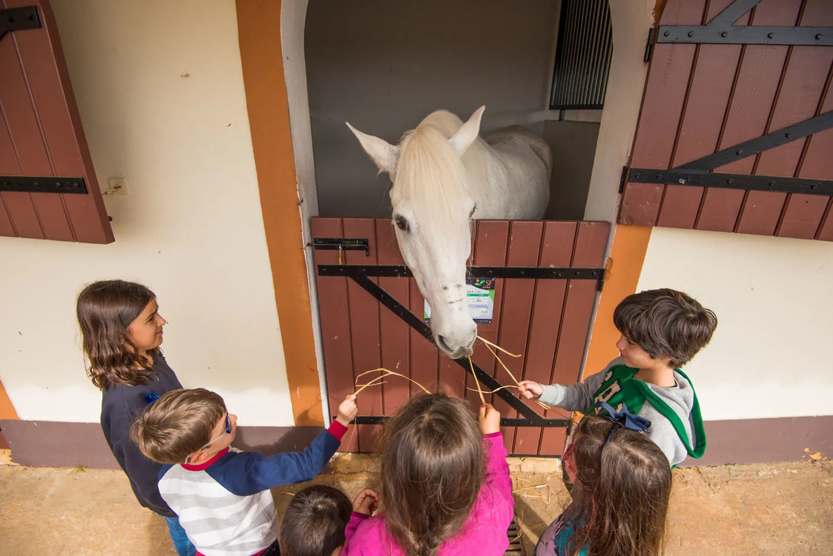 Vila Gale Alentejo Vineyards Hotel - Clube de Campo