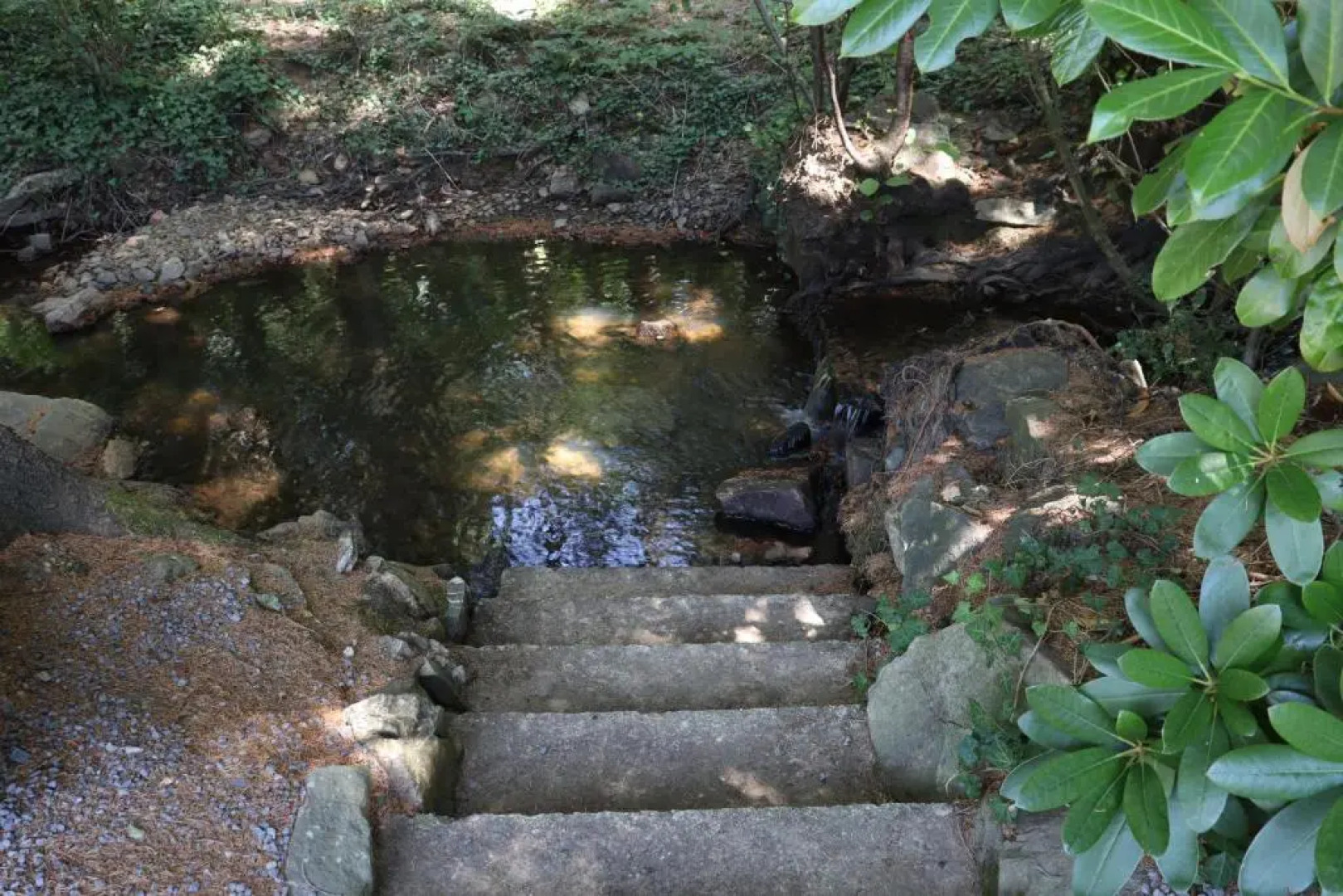 Bio-Ferienhaus-Eifel