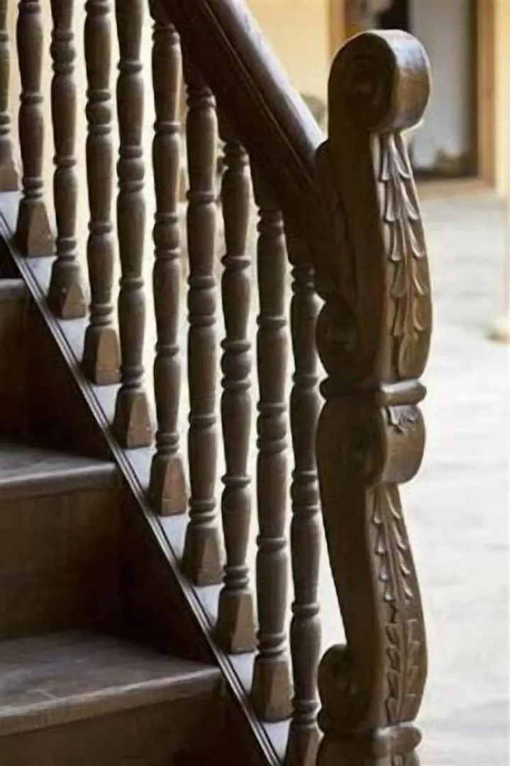 Anemon Kula - Special Class