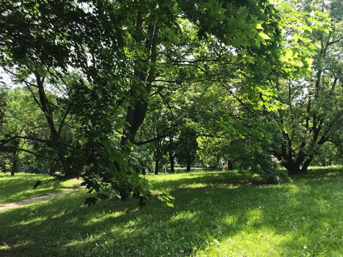 Royal Garden Apartment