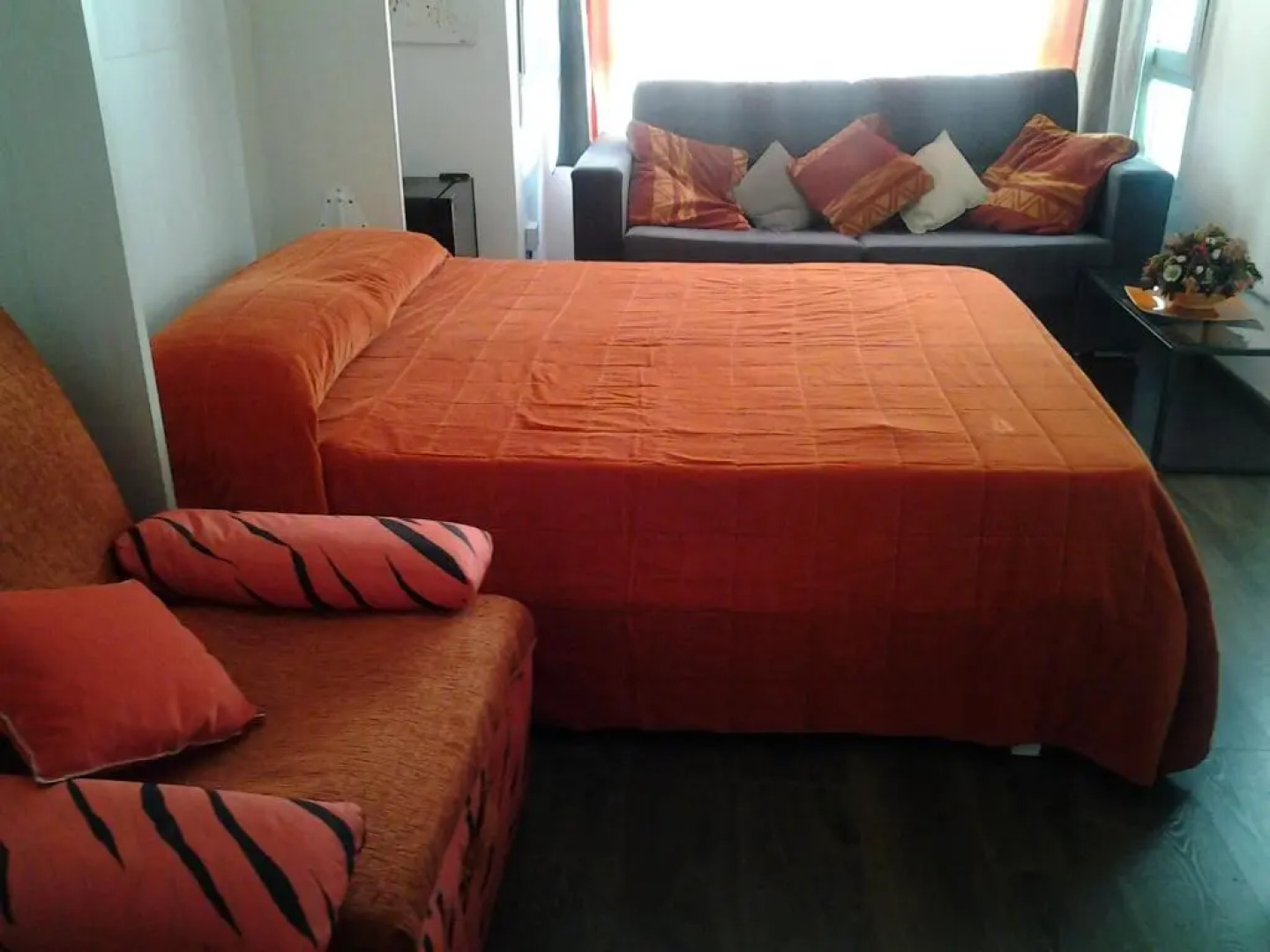 Apartamento Estudio Linea de Playa