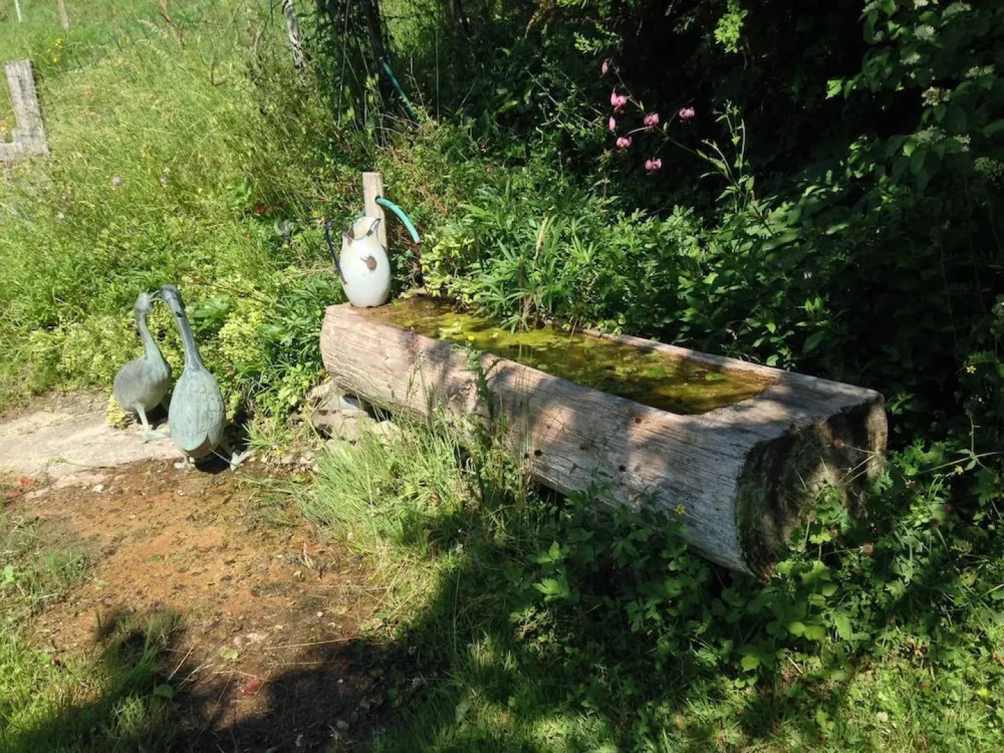 Paradise View Chalet