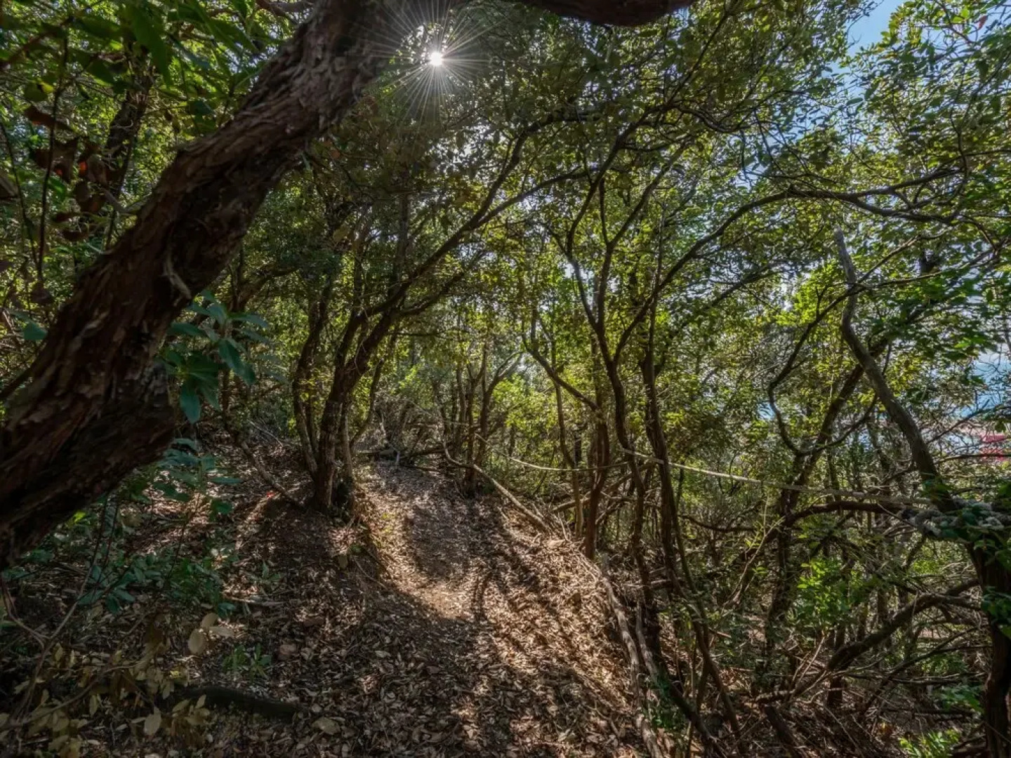 Villa Giuliana Punta Ala