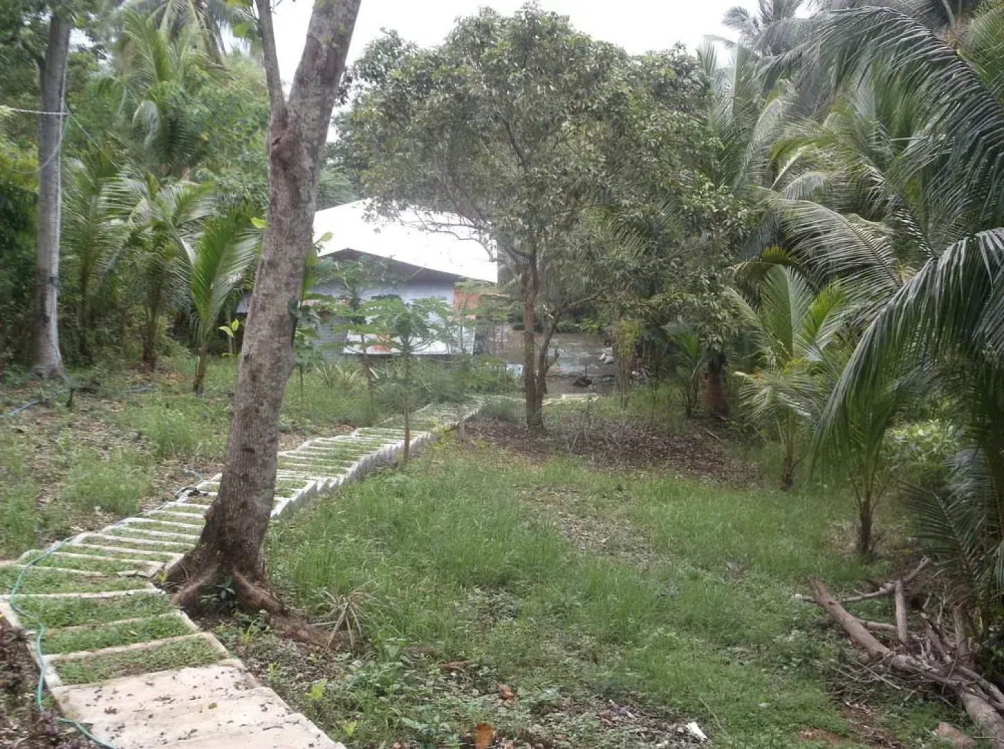 Mahaba Ocean View B&B